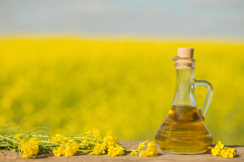 Canola Oil - A Delicious Way To Eat Heart Smart